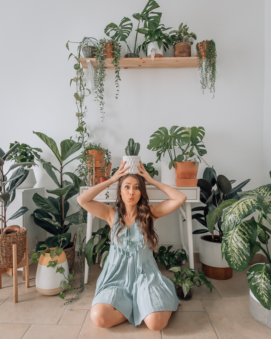 Guide to Gardening in Qatar New In Doha Inspiring You to Explore Qatar